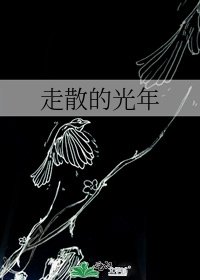 走散的光年