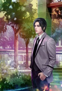 豪婿